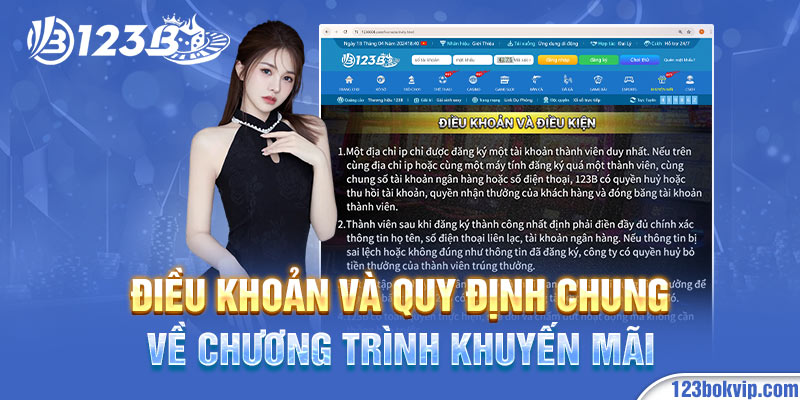 Điều khoản và quy định chung về chương trình khuyến mãi