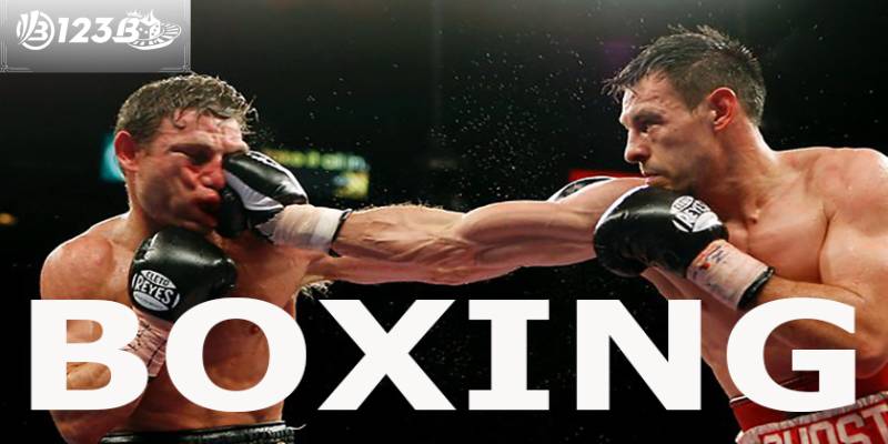 Boxing xác định thắng thua ra sao?