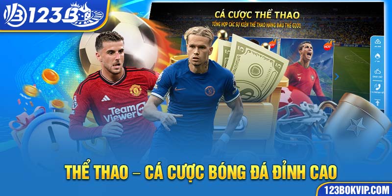 Thể thao bóng đá đỉnh cao